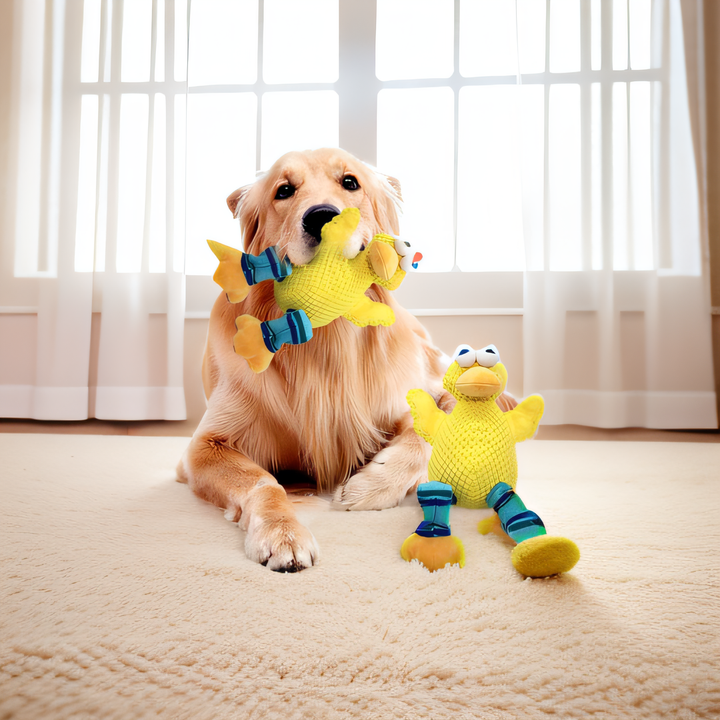 Bigfoot duck stuff dog toy chewing cleaning teeth squeak pet plush toys