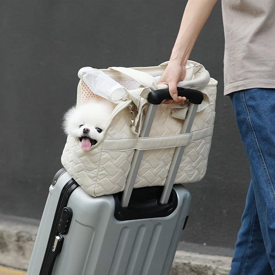 Pet carrying bag canvas soft bag single shoulder crossbody convenient cat and small dog carriers universal bag