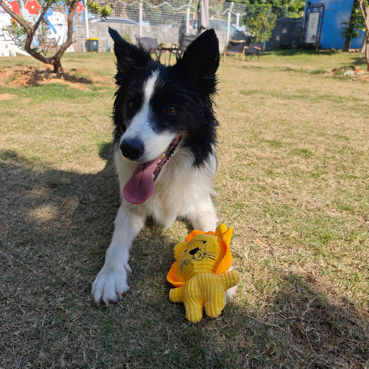 Lion shape Stuff plush Dog Toys with Squeakers for pet chewing