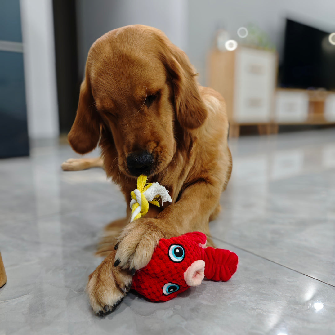 Stuffed Chew Dog Toys with Squeakers Red Octopus shape toy with Rope Toy for dogs