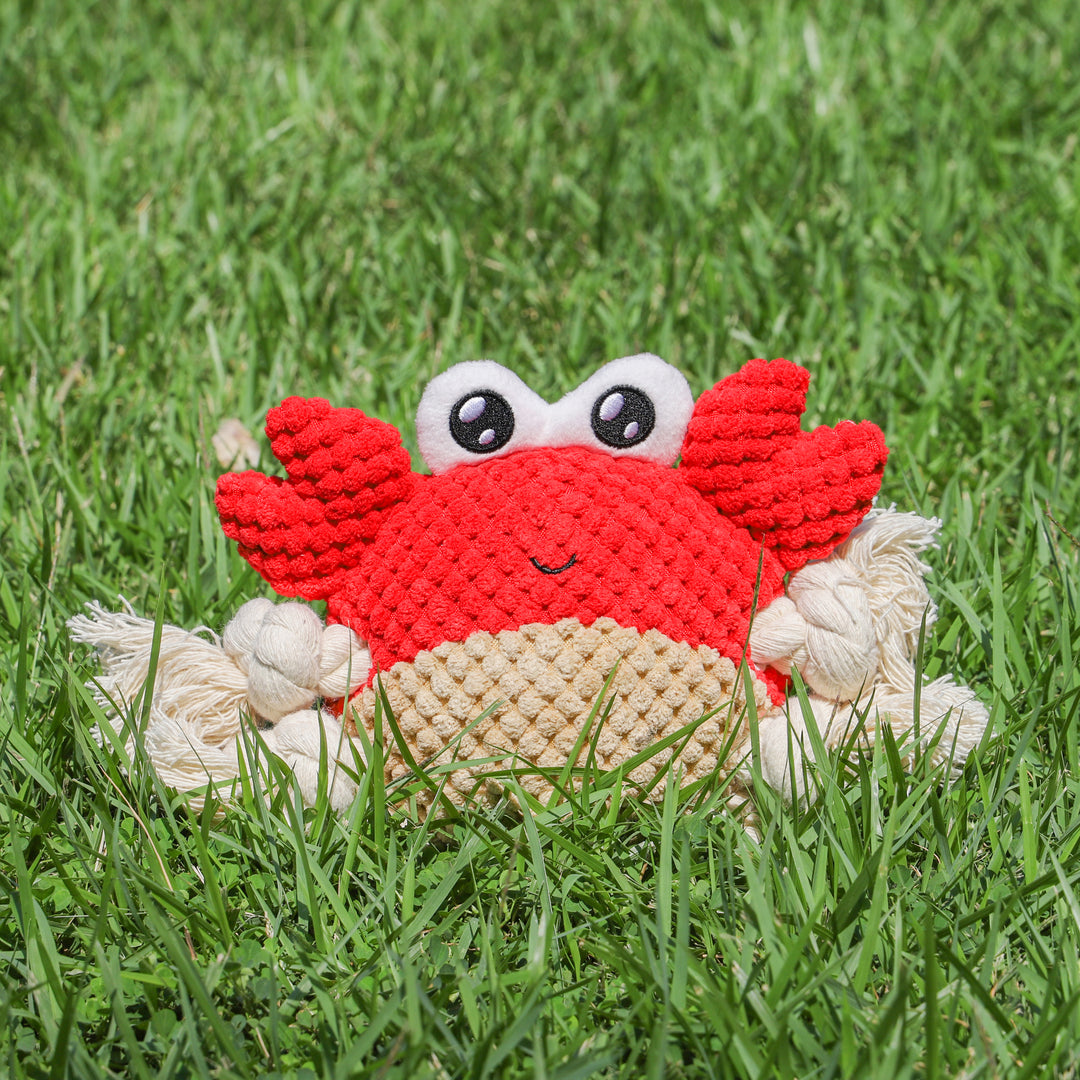 Crab Frog shape Cotton rope dog chew toy, Plush, Bite-Resistant pet toy for dogs