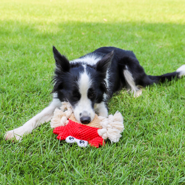 Crab Frog shape Cotton rope dog chew toy, Plush, Bite-Resistant pet toy for dogs