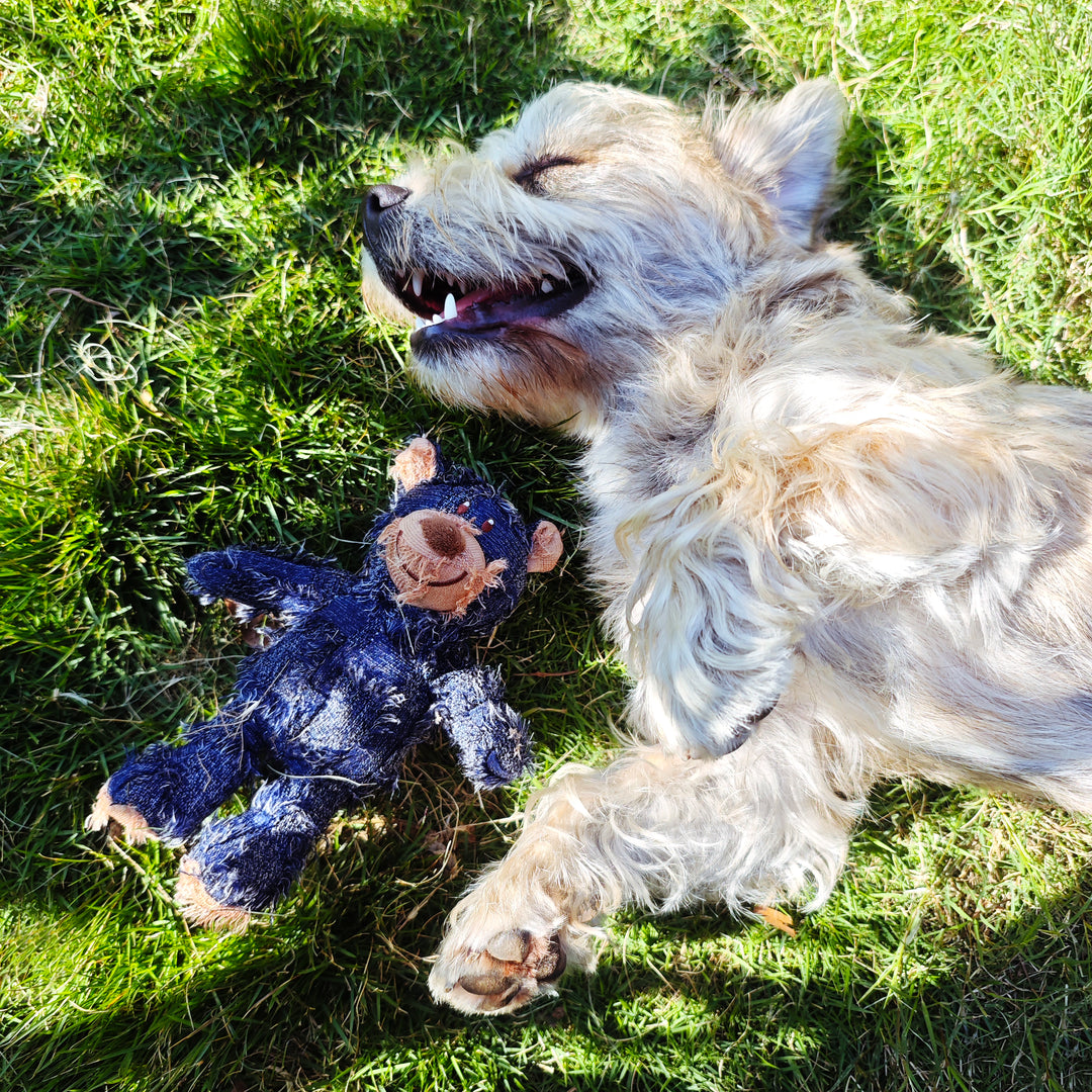 2 pcs Plush Dog Toys with Squeakers Beggar bear design for pet chewy toy